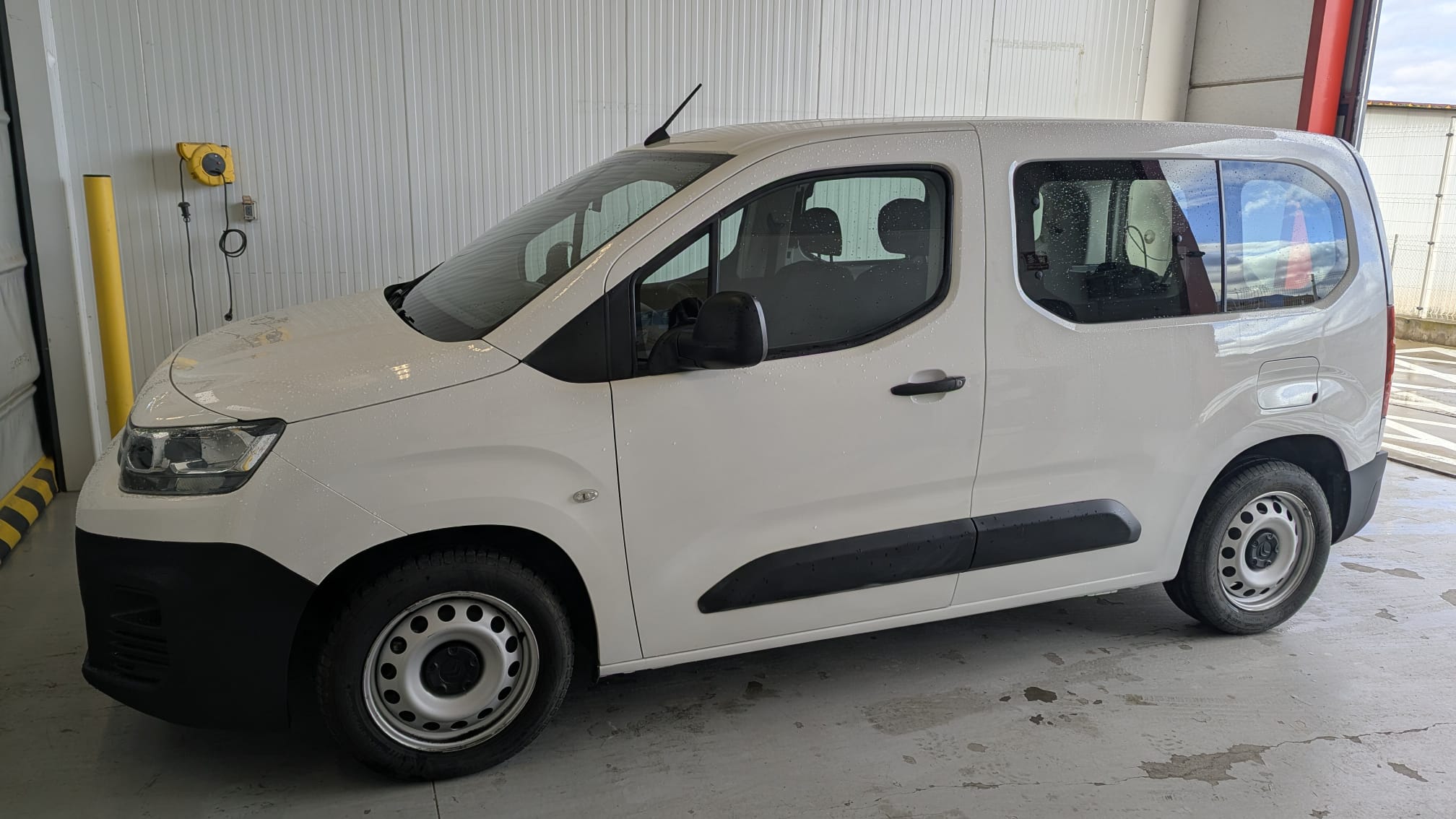 WhatsApp Image 2026-02-17 at 08.15.00 (1)