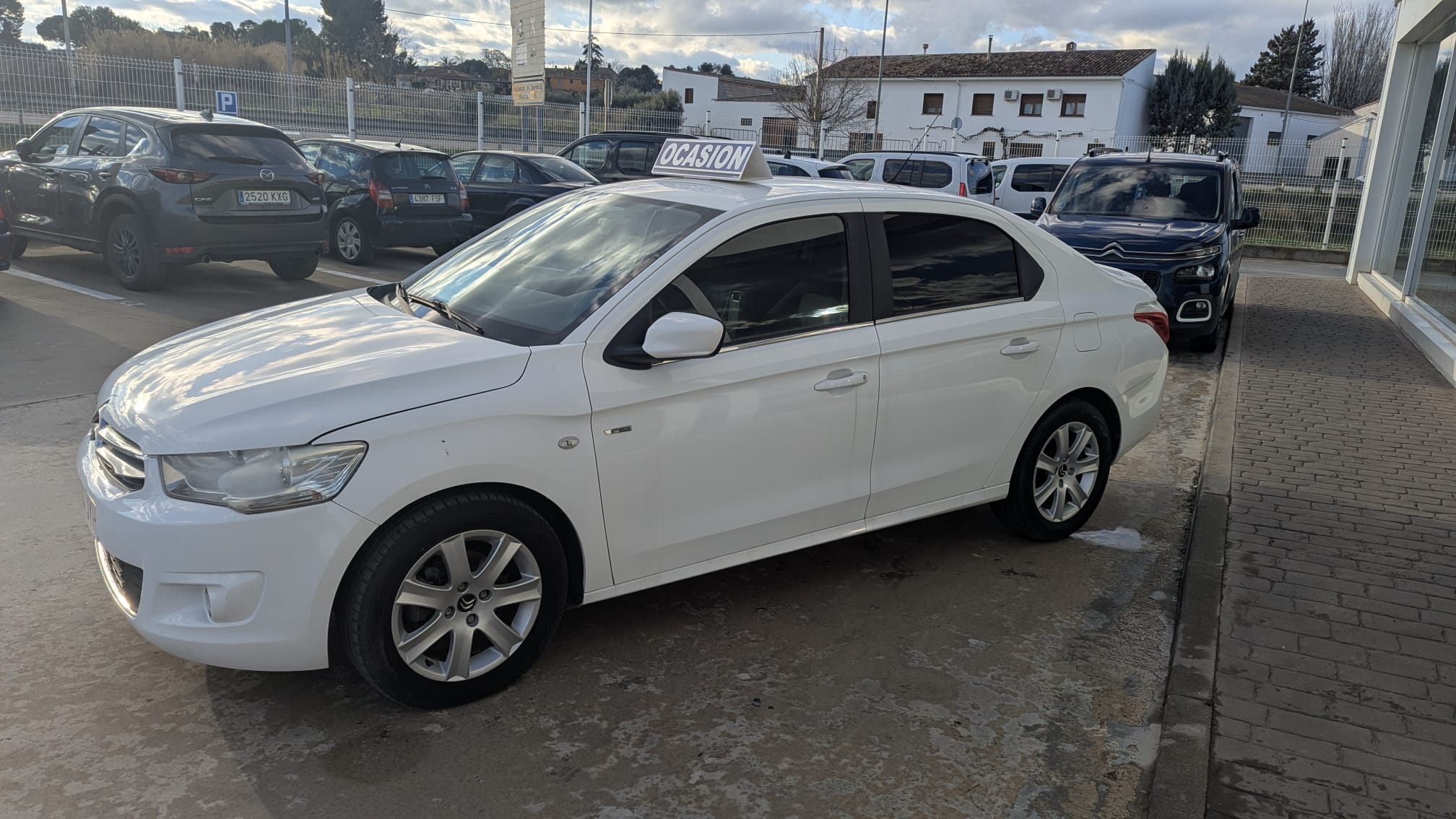 WhatsApp Image 2026-02-17 at 17.17.36 (1)