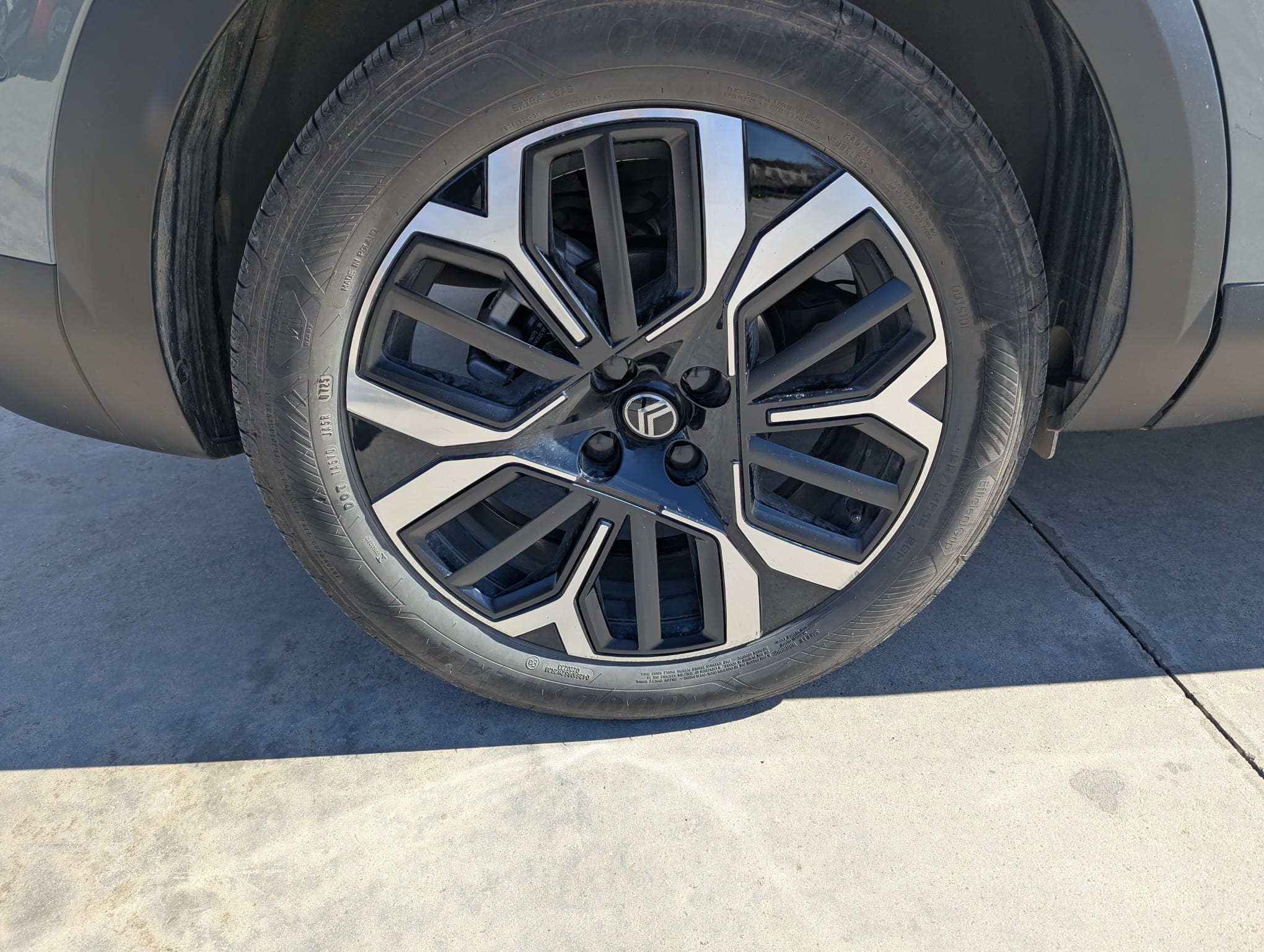 WhatsApp Image 2026-03-16 at 09.14.41